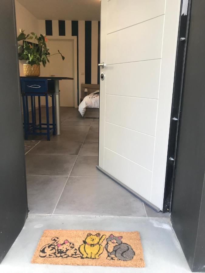 Papero Rosso Apartment Роцано Екстериор снимка